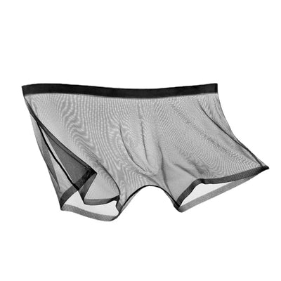 Men's Underwear Transparent Boxers Bulge Ice Silk See Through Underpants Sexy Briefs Low Waist Panties Lingerie Intimates